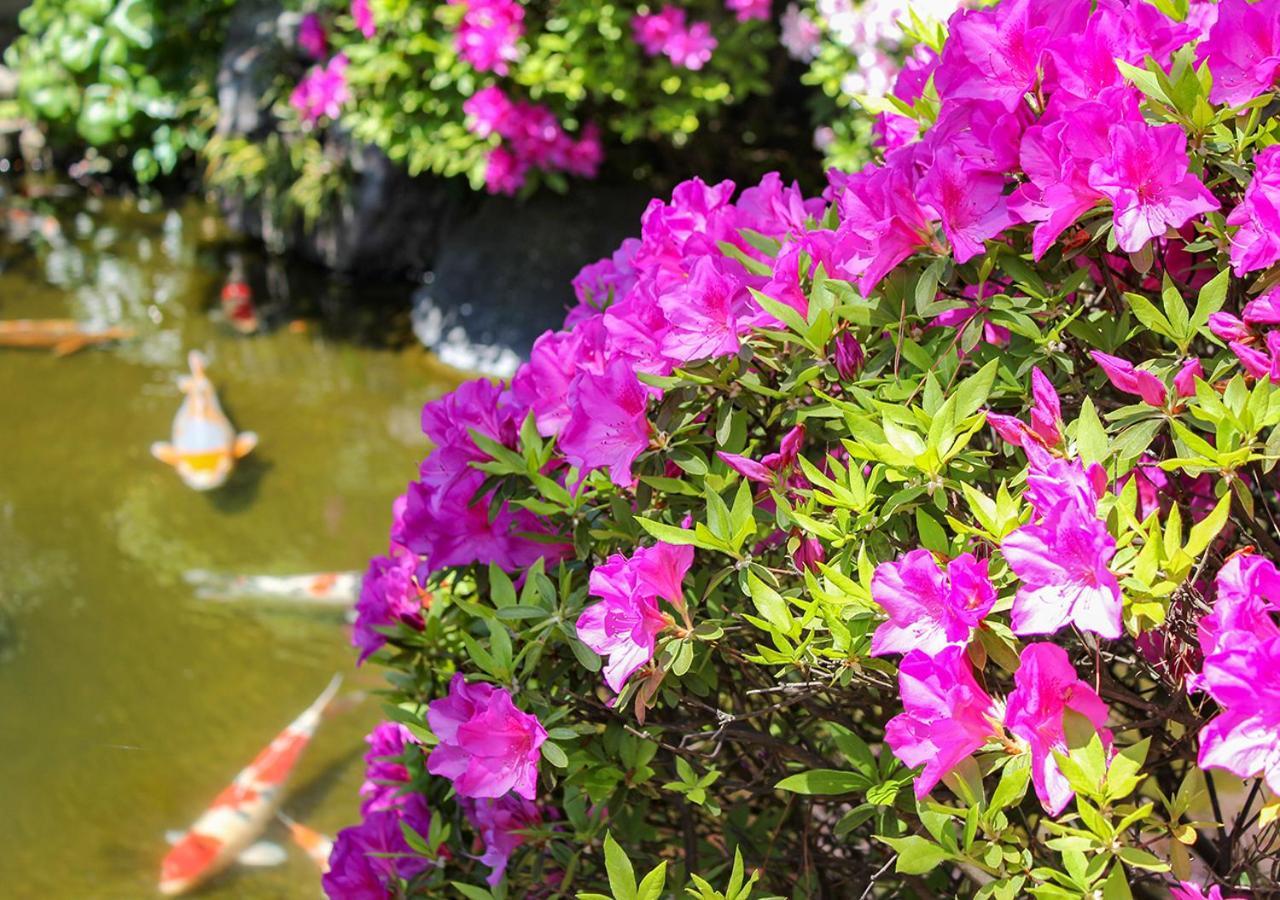 Haiya Otel Awara Dış mekan fotoğraf